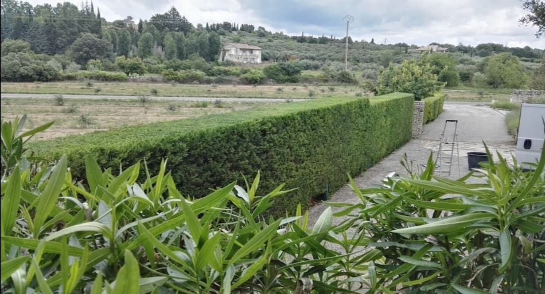 Haie parfaitement taillée, paysage provençal